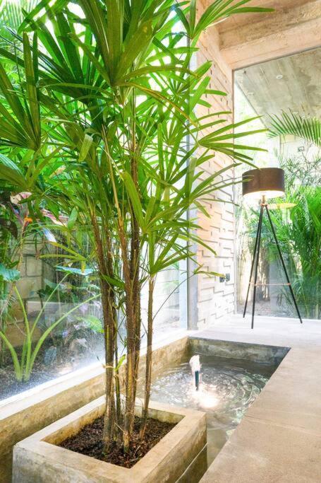 Villa Nimi Architectural Masterpiece Experience Private Pool & Great Concierge Service By Hum Living Tulum Extérieur photo